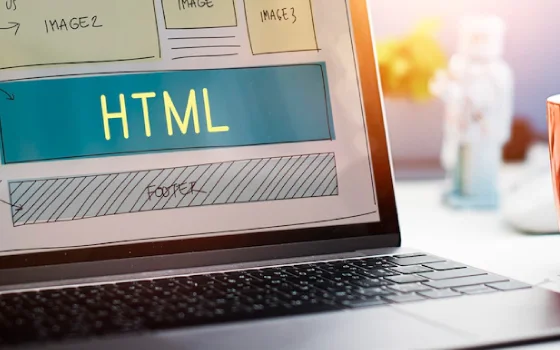 web development company kochi